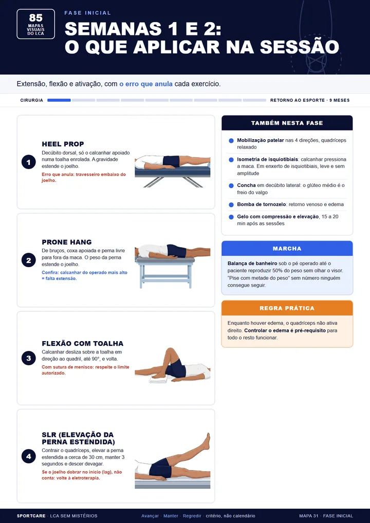 Semanas 1 e 2: exercícios