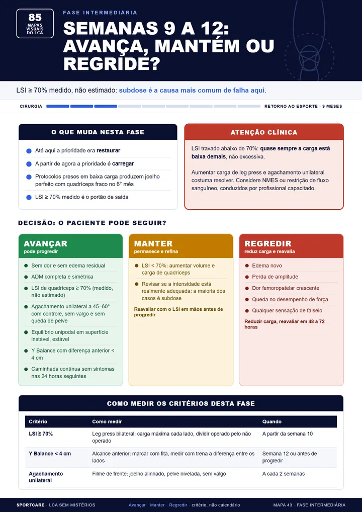 Semanas 9 a 12: decisão